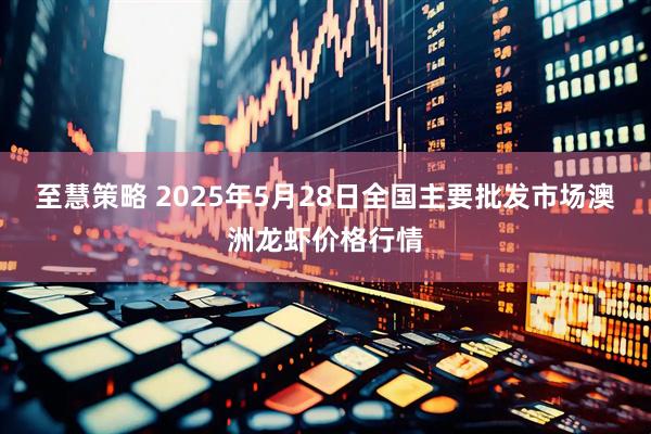 至慧策略 2025年5月28日全国主要批发市场澳洲龙虾价格行情