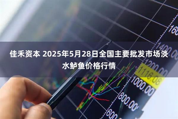 佳禾资本 2025年5月28日全国主要批发市场淡水鲈鱼价格行情