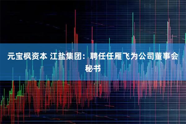 元宝枫资本 江盐集团：聘任任雁飞为公司董事会秘书