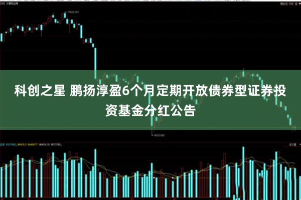 科创之星 鹏扬淳盈6个月定期开放债券型证券投资基金分红公告