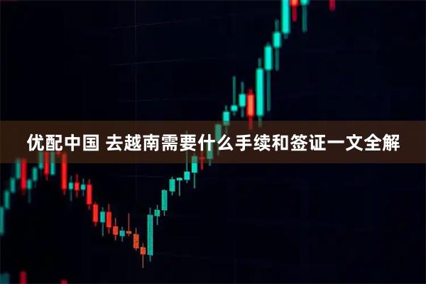 优配中国 去越南需要什么手续和签证一文全解