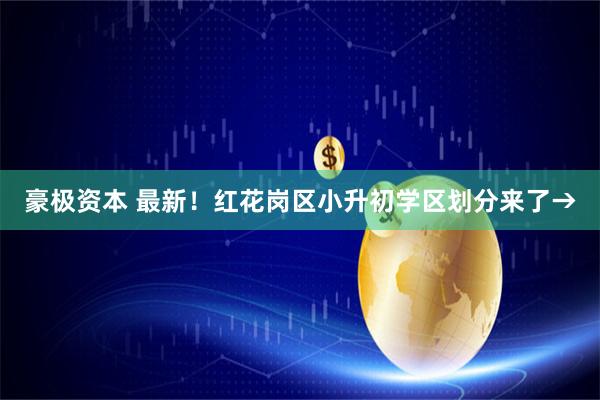 豪极资本 最新！红花岗区小升初学区划分来了→