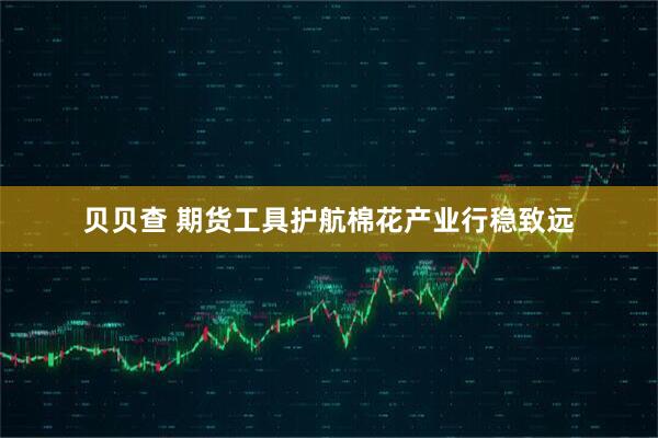 贝贝查 期货工具护航棉花产业行稳致远